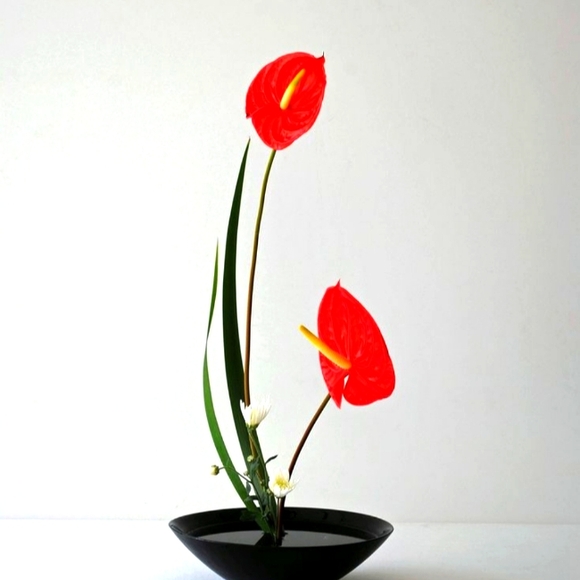 Testing - Picture 1 of 1